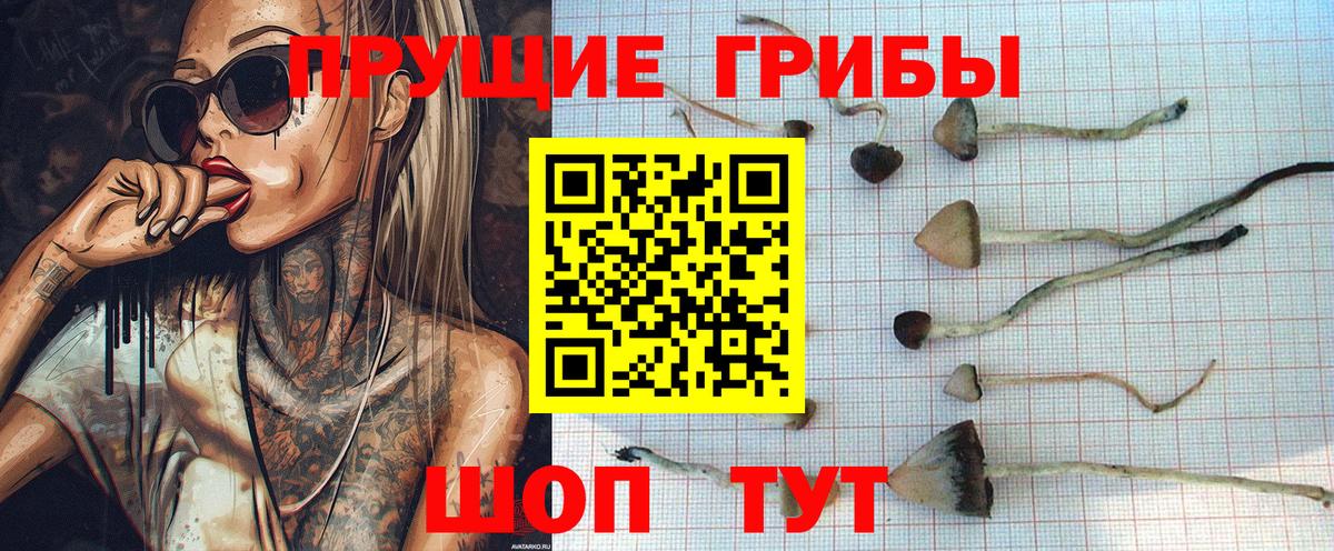 Галлюциногенные грибы Magic Shrooms  Вход с VPN  где найти наркотики  Шумерля 