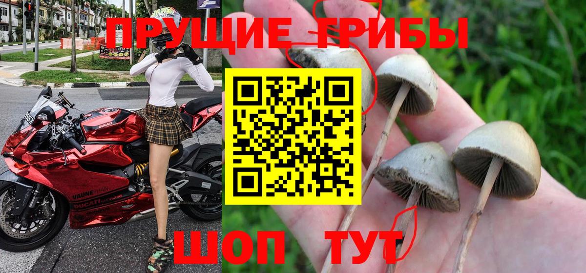 Галлюциногенные грибы Magic Shrooms Шумерля